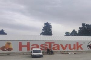 HASTAVUK5